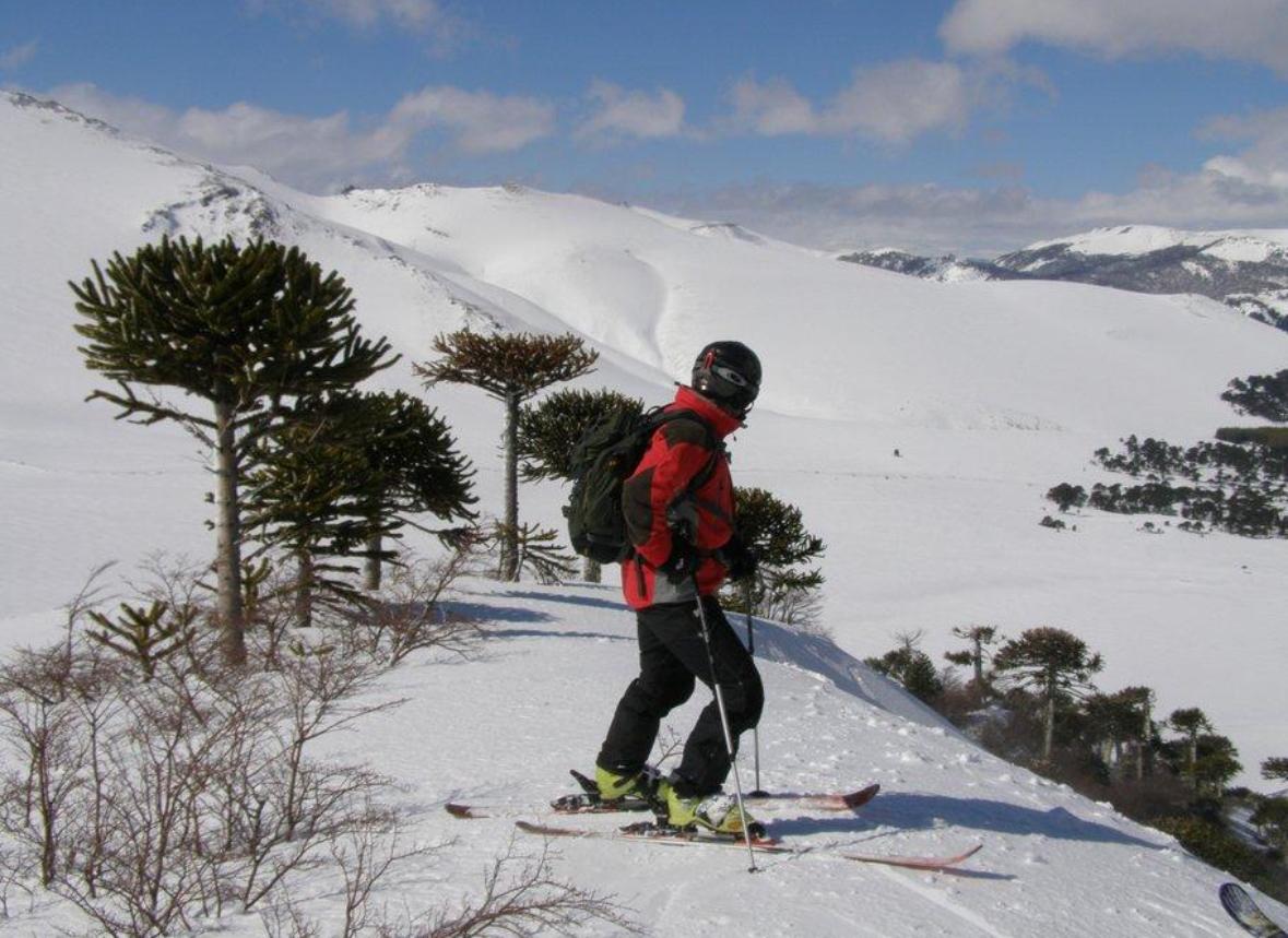 Heliski Team